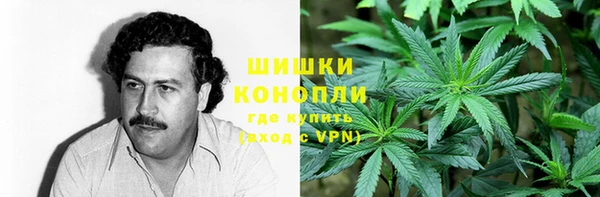 сатива Костерёво