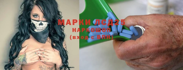 стаф Коряжма
