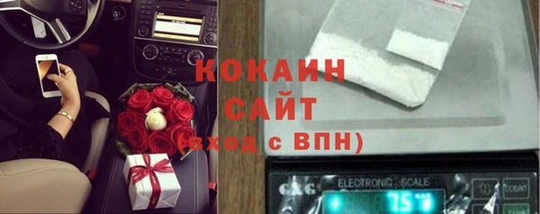 сатива Костерёво