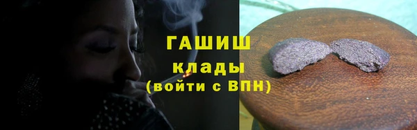 стаф Коряжма