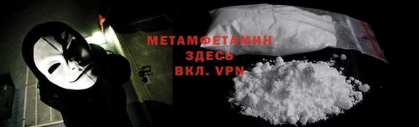 сатива Костерёво