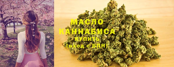 стаф Коряжма