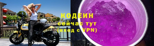 сатива Костерёво