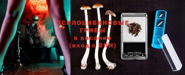 стаф Коряжма