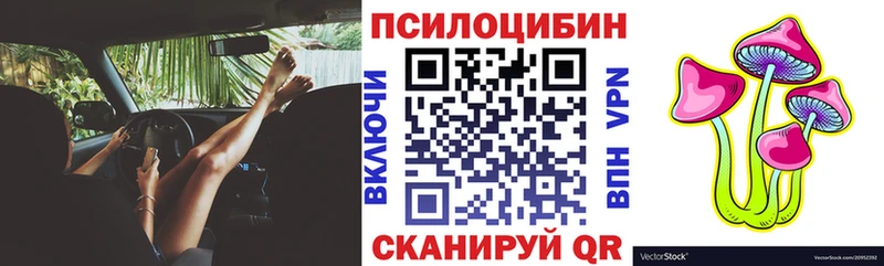 Псилоцибиновые грибы Psilocybe  Купить закладки  Рузаевка 